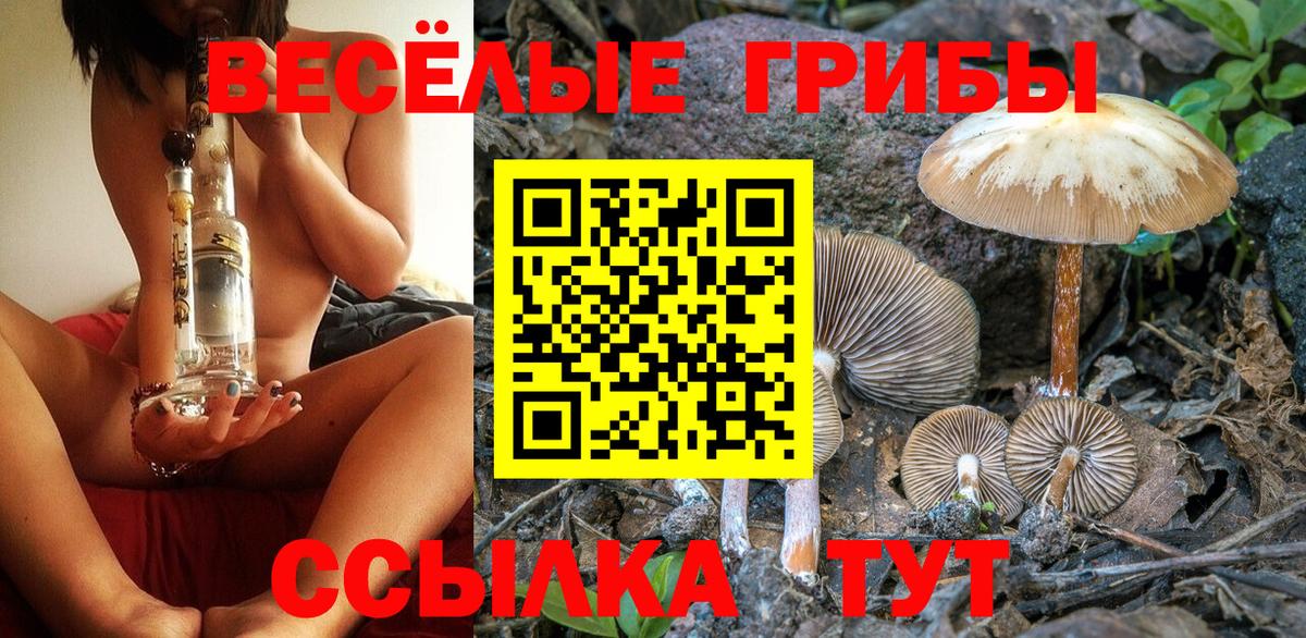Галлюциногенные грибы мухоморы Нижнеудинск