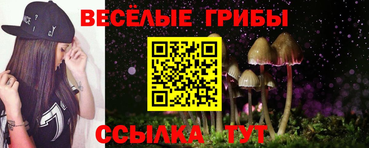 Псилоцибиновые грибы прущие грибы  Галлюциногенные грибы мицелий  Нижнеудинск  Вход с VPN 